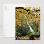 Carte Postale Horsetail Falls, Oregon (Devant / Derrière)