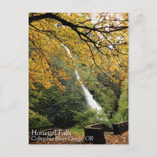 Carte Postale Horsetail Falls, Oregon (Devant)