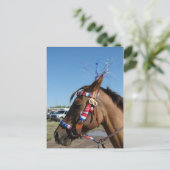 Carte Postale Horsey 4e (Debout devant)