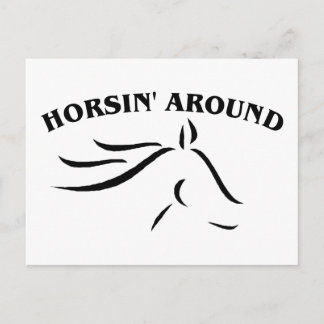 Carte Postale Horsin' autour