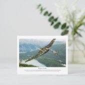 Carte Postale Horten Ho229 (Debout devant)