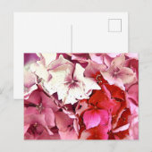 CARTE POSTALE HORTENSIA ROSE (Devant / Derrière)