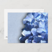 Carte Postale Hortensias bleu foncé et droit (Devant / Derrière)