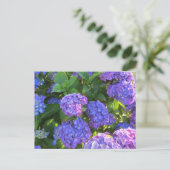 Carte Postale Hortensias bleus et violets vibrants (Debout devant)
