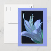 Carte Postale Hosta Fleur Macro Élégante et Chic pour Toutes Occ (Devant / Derrière)