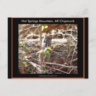 Carte Postale Hot Springs Mountain, Arkansas Chipmunk Cadfts