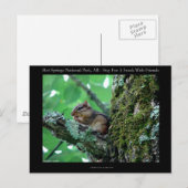 Carte Postale Hot Springs National Park, AR Chipmunk Snack Gifts (Devant / Derrière)