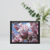 Carte Postale Hot Springs National Park AR Saucer Magnoia Cadeau (Debout devant)