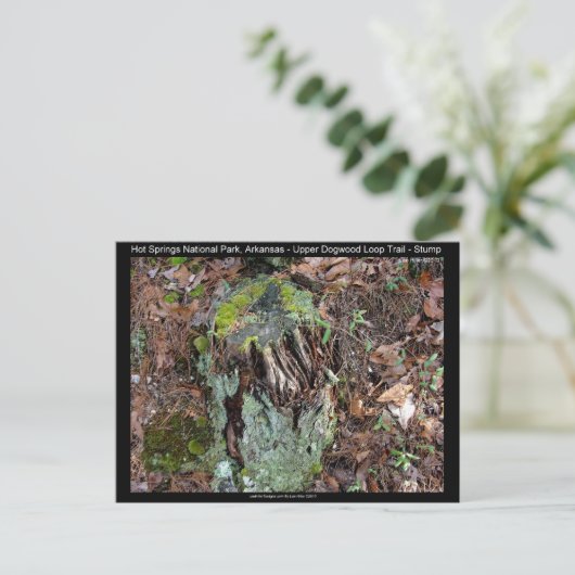 Carte Postale Hot Springs National Park, AR Upper Dogwood Loop (Debout devant)