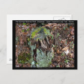 Carte Postale Hot Springs National Park, AR Upper Dogwood Loop (Devant / Derrière)