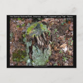 Carte Postale Hot Springs National Park, AR Upper Dogwood Loop (Devant)