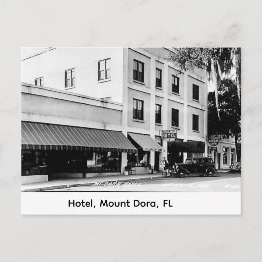 Carte Postale Hôtel Mount Dora, FL (Devant)