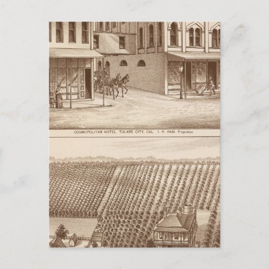 Carte Postale Hôtel, vignoble, Tulare (Devant)