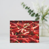 Carte Postale Hotness - Red Hot Chillies (Debout devant)