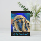 Carte Postale Hound afghan (Debout devant)