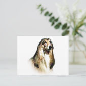 Carte Postale Hound afghan (Debout devant)