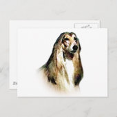 Carte Postale Hound afghan (Devant / Derrière)