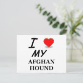 Carte Postale hound afghan (Debout devant)