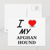 Carte Postale hound afghan (Devant / Derrière)