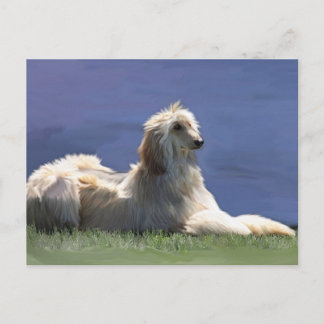 Carte Postale Hound afghan