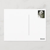 Carte Postale Hound afghan (Dos)