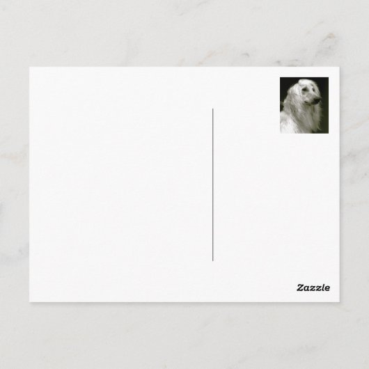 Carte Postale Hound afghan (Dos)