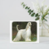 Carte Postale Hound afghan 9J32D-21 (Debout devant)