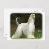 Carte Postale Hound afghan 9J32D-21 (Devant / Derrière)