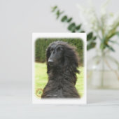Carte Postale Hound afghan 9T027D-081 (Debout devant)
