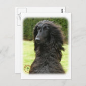 Carte Postale Hound afghan 9T027D-081 (Devant / Derrière)