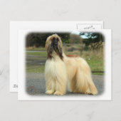 Carte Postale Hound afghan 9Y119D-037 (Devant / Derrière)