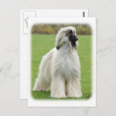 Carte Postale Hound afghan 9Y247D-010 (Devant / Derrière)