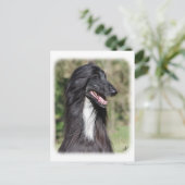 Carte Postale Hound afghan AA017D-101 (Debout devant)