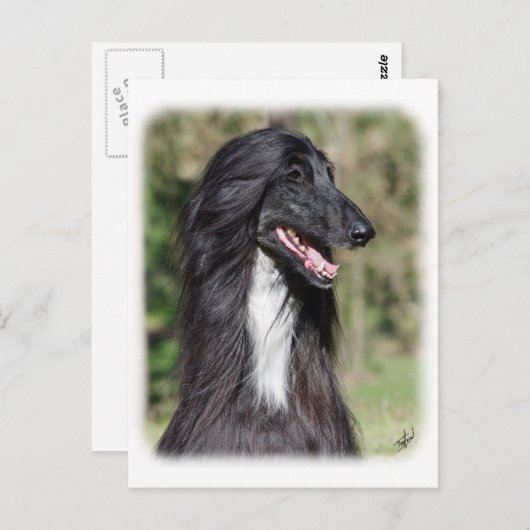 Carte Postale Hound afghan AA017D-101 (Devant / Derrière)