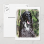 Carte Postale Hound afghan AA017D-119 (Devant / Derrière)