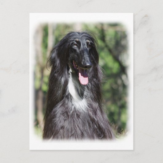 Carte Postale Hound afghan AA017D-119 (Devant)