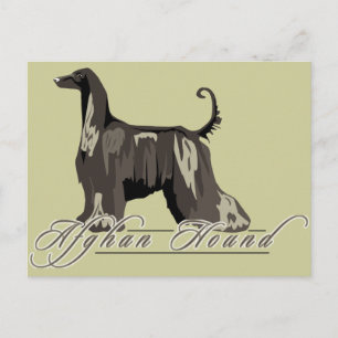 Carte Postale Hound Afghane, Détaillé, Noir