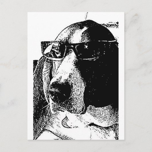 Carte Postale Hound basset RE-cool (Devant)