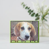 Carte Postale Hound Dog Tree Hugger (Debout devant)