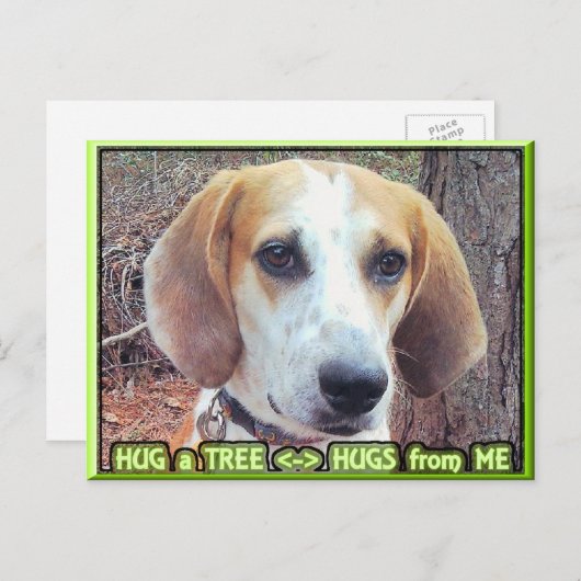 Carte Postale Hound Dog Tree Hugger (Devant / Derrière)