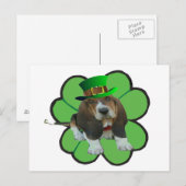 Carte postale Hound Happy StPatrick's Day Clover (Devant / Derrière)