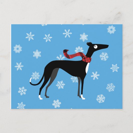 Carte Postale Hound neigeux (Devant)