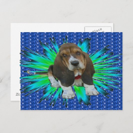 Carte postale Hound Sheldon (Devant / Derrière)