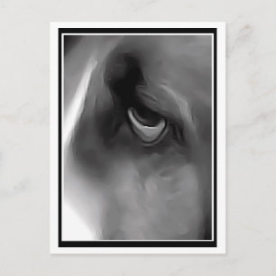 Carte Postale Hound triste