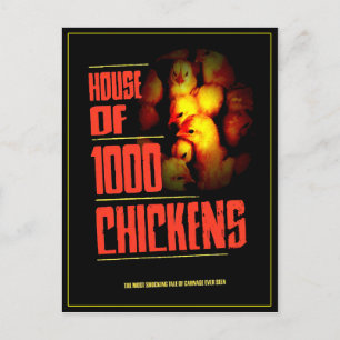 Carte Postale HOUSE Of 1000 CHICKENS