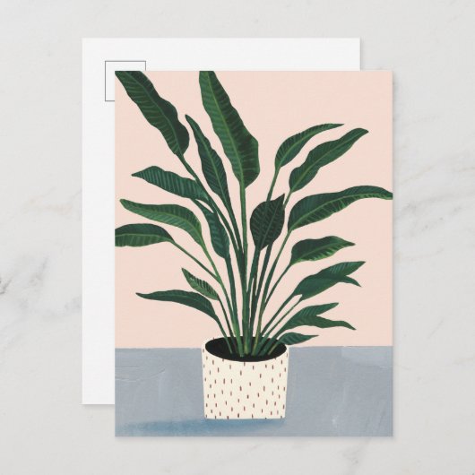 Carte Postale Houseplant (Devant / Derrière)