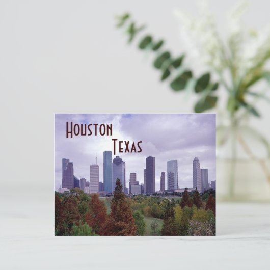Carte postale Houston Texas (Debout devant)