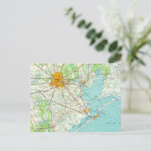 Carte postale Houston Texas (Debout devant)