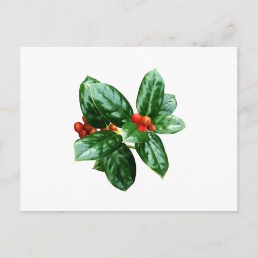 Carte Postale Houx avec baies (Devant)