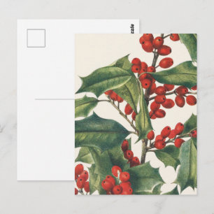 Carte Postale Houx de Noël Classique avec Baies Rouges Art